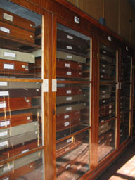 Collection of the Department.