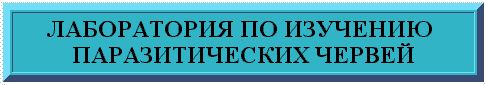 banner.gif (3898 bytes)