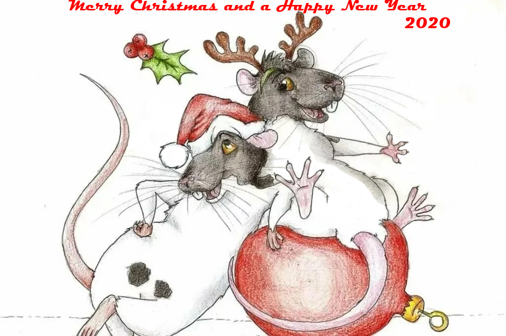 День крысы картинки прикольные. Крыса рисунок. Мышка рисунок. Новогодняя крыса рисунок. Крыска рисунок.