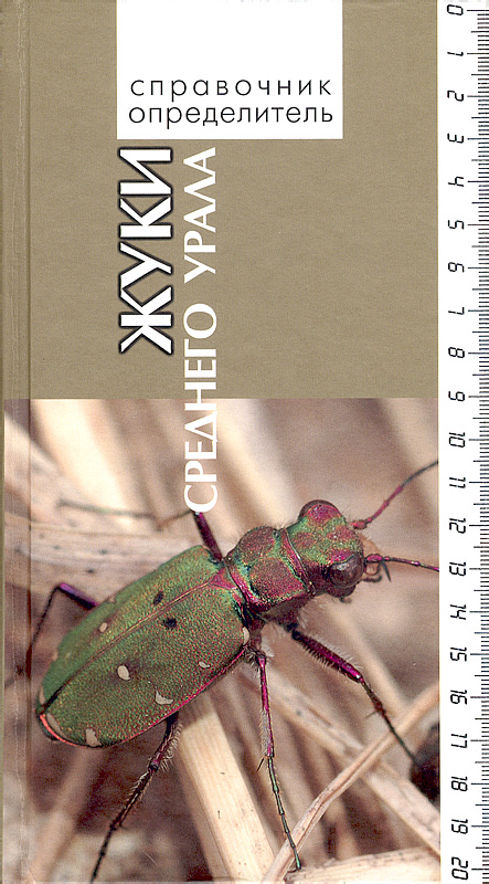 https://www.zin.ru/Animalia/Coleoptera/images/papers/mid_ur0.jpg