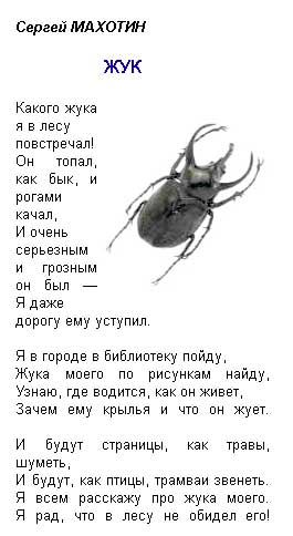 Стихотворение сказала жучка себе. Стих про жука. Стихотворение про жука. Стих про жука для детей. Стихи про Жуков.