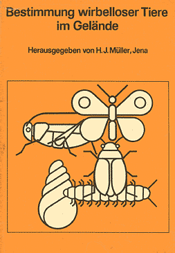 free multiaxiale schmerzklassifikation psychosoziale dimension