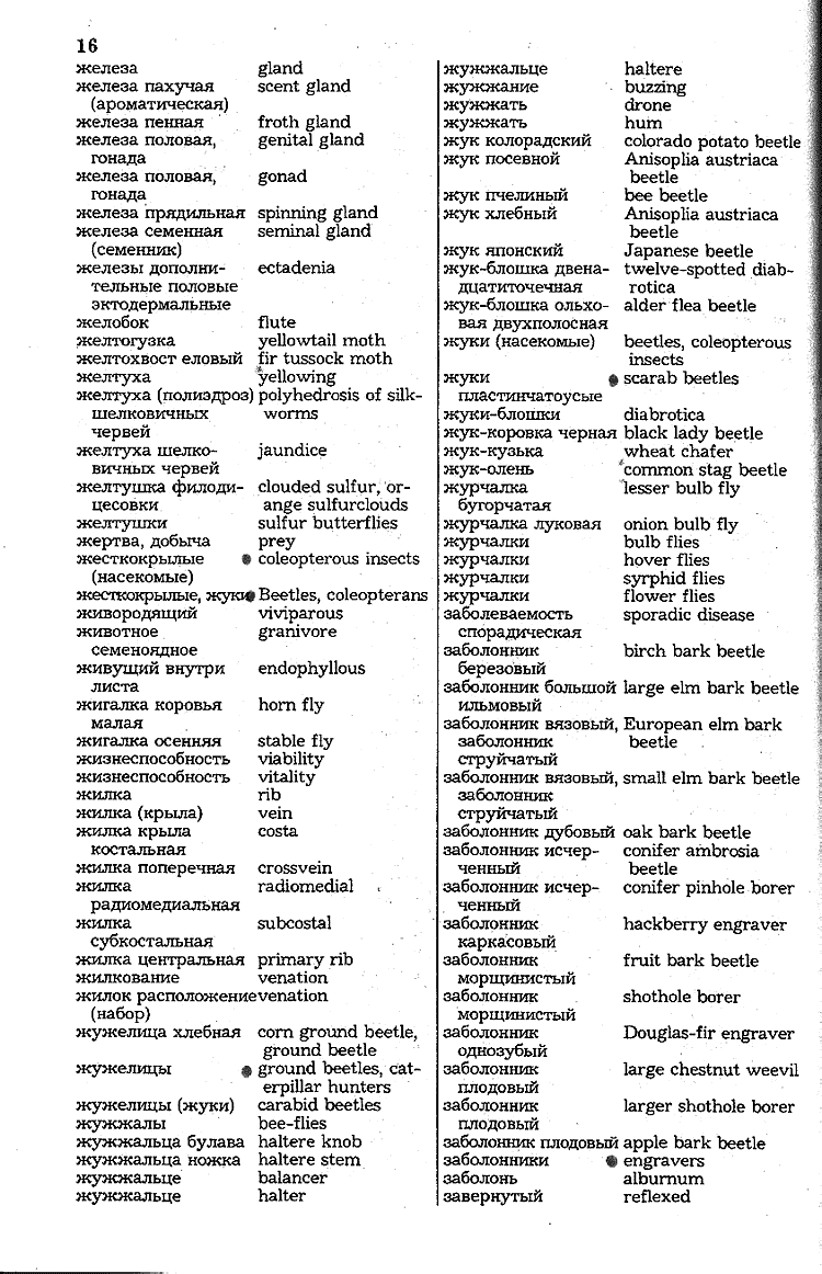 Словарь английских слов с транскрипцией